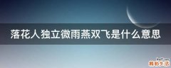 落花人独立微雨燕双飞是什么意思
