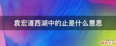 袁宏道西湖中的止是什么意思