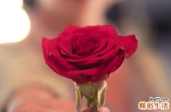 520送什么礼物给女朋友最有意义