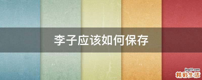 李子应该如何保存