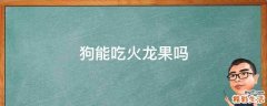 狗能吃火龙果吗
