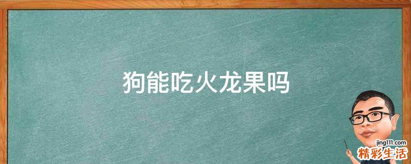 狗能吃火龙果吗