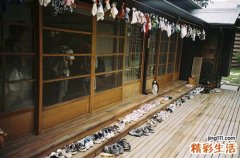 抗骨增生糖浆