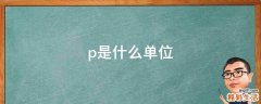 p是什么单位