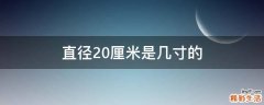 直径20厘米是几寸的