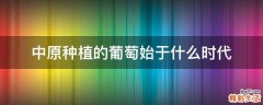 中原种植的葡萄始于什么时代