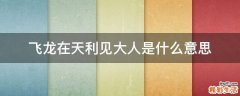 飞龙在天利见大人是什么意思