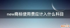 new商标使用费应计入什么科目