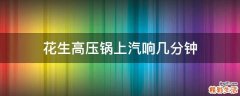 花生高压锅上汽响几分钟