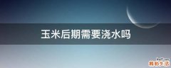 玉米后期需要浇水吗
