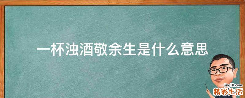 一杯浊酒敬余生是什么意思