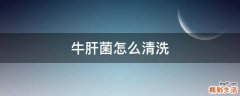 牛肝菌怎么清洗