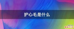 护心毛是什么