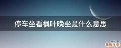 停车坐看枫叶晚坐是什么意思