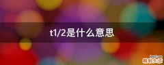 t1/2是什么意思