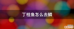 丁桂鱼怎么去鳞