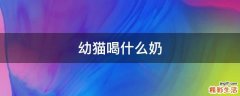 幼猫喝什么奶