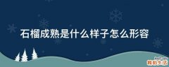 石榴成熟是什么样子怎么形容