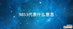 9853代表什么意思