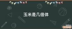 玉米是几倍体