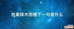 良禽择木而栖下一句是什么