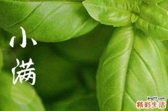明日小满几点几分，2023年小满具体时间