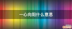一心向阳什么意思