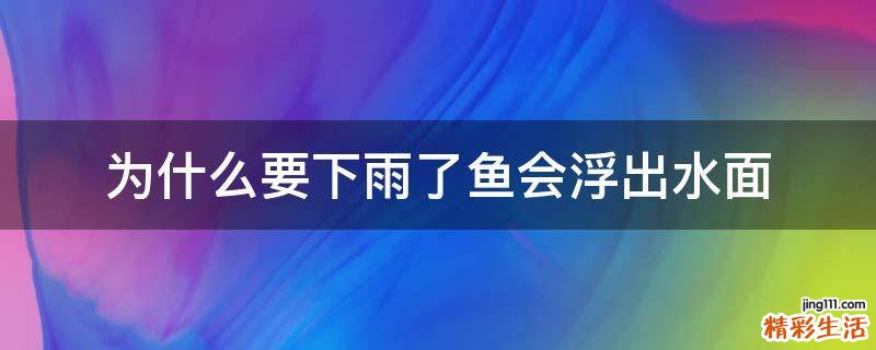 为什么要下雨了鱼会浮出水面