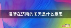温晴在济南的冬天是什么意思