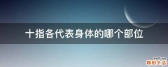 十指各代表身体的哪个部位