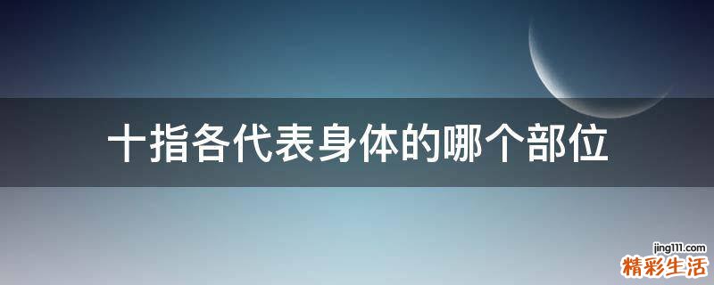 十指各代表身体的哪个部位