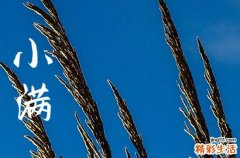 2023年哪天是小满