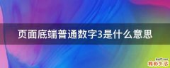 页面底端普通数字3是什么意思