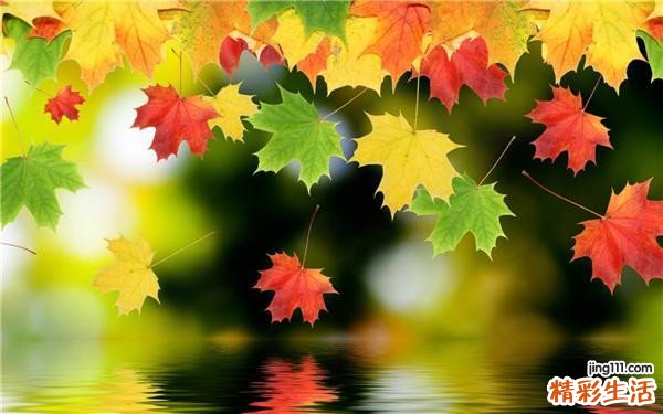 儿童能不能吃雪蛤