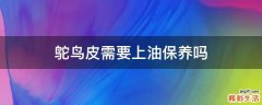 鸵鸟皮需要上油保养吗