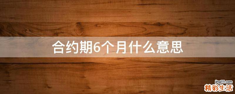 合约期6个月什么意思