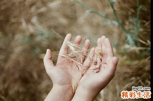 骨刺平片