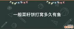 一般菜籽饼打窝多久有鱼