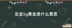 足金5g黄金是什么意思