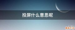 投屏什么意思呢