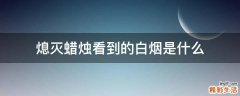 熄灭蜡烛看到的白烟是什么