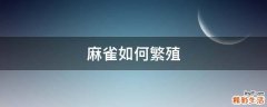麻雀如何繁殖