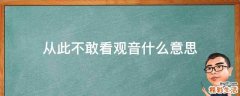 从此不敢看观音什么意思