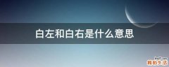 白左和白右是什么意思