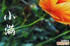 2023年小满日期,今年小满节气时间点