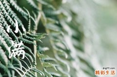 2023年小满是哪天,今年几号小满