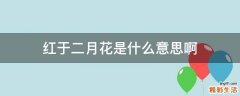 红于二月花是什么意思啊