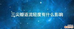 三尖瓣返流轻度有什么影响