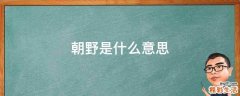 朝野是什么意思
