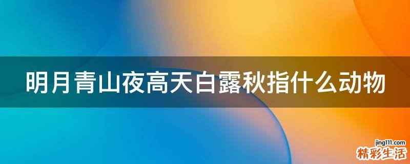 明月青山夜高天白露秋指什么动物